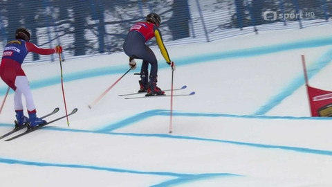 Světový pohár ve freestyle lyžování - Švédsko