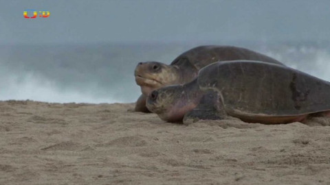 Zprávičky - 10. října 2018