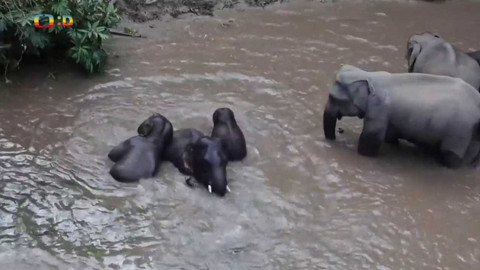 Zprávičky - 27. srpna 2022