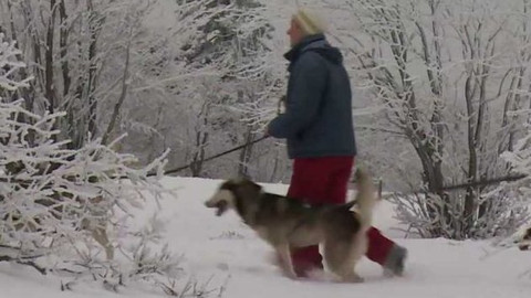 Gejzír - 19. února 2015