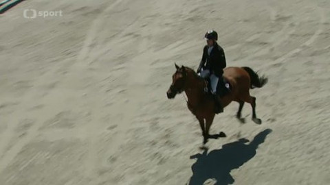 Jezdectví - Martinický šampionát mladých koní