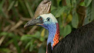 Andy a cesta kolem světa