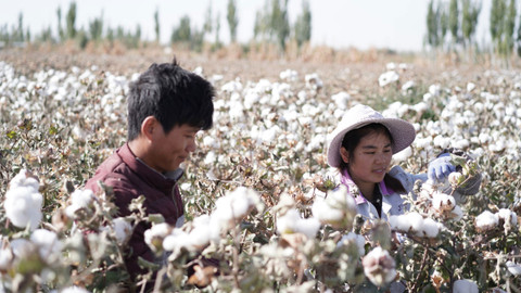 Barvy Číny - 4/5 Bílá - od sněžných hor až k poušti Gobi