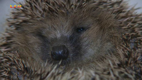 Zprávičky - 23. listopadu 2019