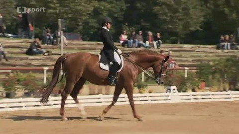 Jezdectví - Finále Českého drezurního poháru Brno