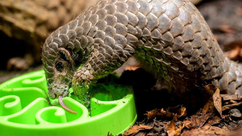 Zprávičky - 2. srpna 2023