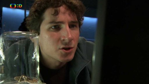 Záhady Toma Wizarda - Pojídači hmyzu