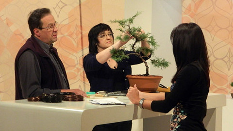 Sama doma - 25. ledna 2013