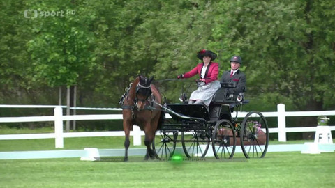 Jezdectví - Vozatajské závody CAI-W Písečné nad Dyjí