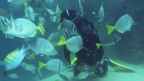 Objevování planety Oceán - 10/13 1500 km nad zemí zázraků