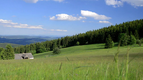 Minuty z Krkonoš - Krkonošské louky