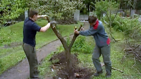 Zahrada je hra - 18. června 2006