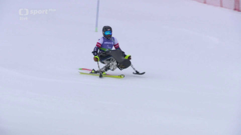 XIV. zimní paralympijské hry 2026 Milano Cortina - Alpské lyžování