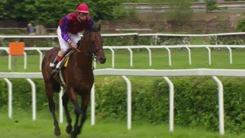 Jezdectví - Velká jarní cena