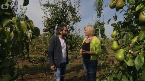 Polopatě - 13. září 2015