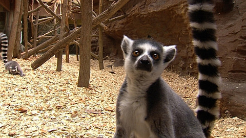 Chcete mě? - 29. června 2014