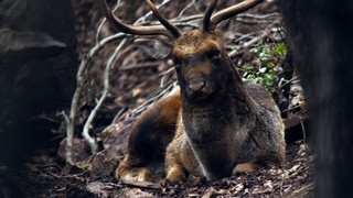Maremma - přírodní skvost Toskánska