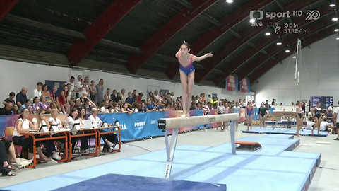 Olympiáda dětí a mládeže - Sportovní gymnastika