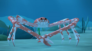 Leo, strážce přírody II