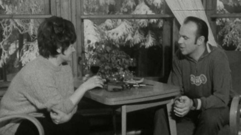 Archiv D - Slavný rok