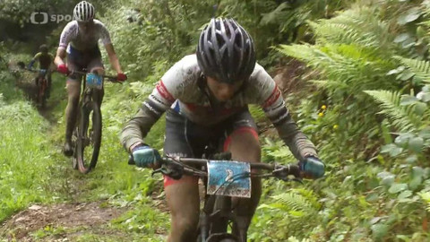 Cyklistika - Author Král Šumavy