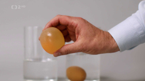 Úsměv, prosím - Čištění zubů po jídle