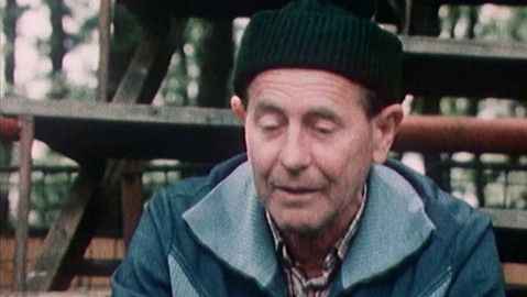 Archiv D - Manželé