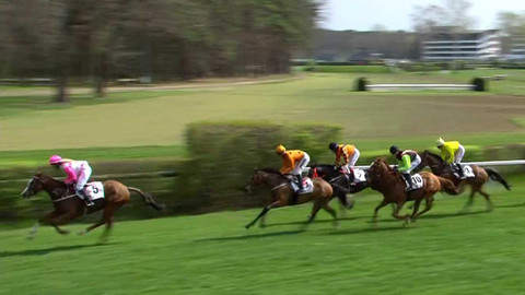 Dostihy - Jarní cena Pardubického závodiště