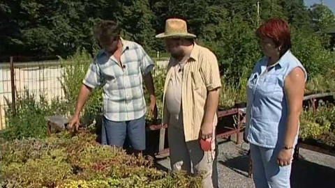 Zahrada je hra - 20. září 2007