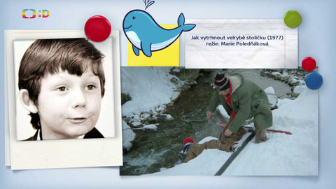 Zprávičky - 8. března