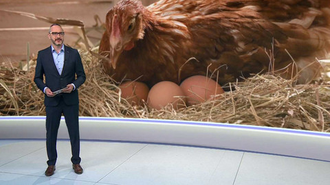 Horizont ČT24 - 5. května