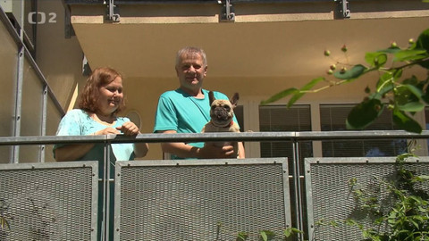 Televizní klub neslyšících - 13. října 2021