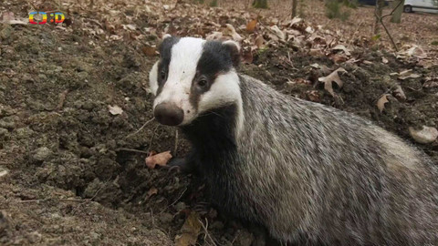 Terčin zvířecí svět - 21. března