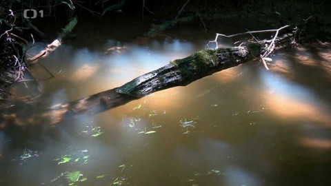 Kapka vody - Znečišťování vod