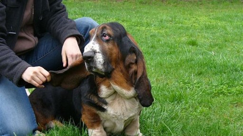 Mezi námi zvířaty - 10. května 2008