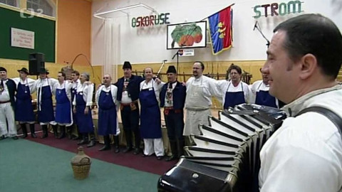 Folklorika - Oskeruše, strom Slovácka