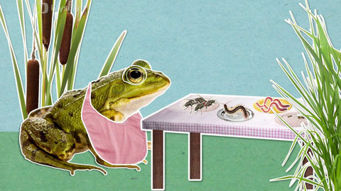 To je něco! - Žáby používají k polykání potravy oči!