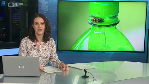 Události v regionech (sever a východ) - 13. srpna 2024