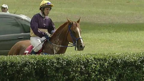 Jezdectví - Velká cena Lysé nad Labem