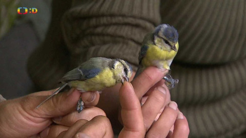 Zprávičky - 2. září 2023