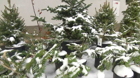 Regiony ČT24 - 16. prosince 2023