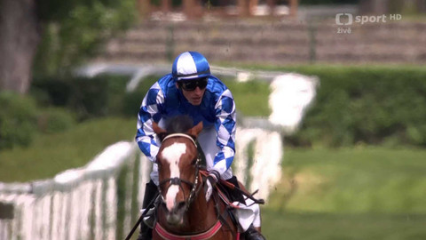 Dostihy - Úvodní cross country Koroka