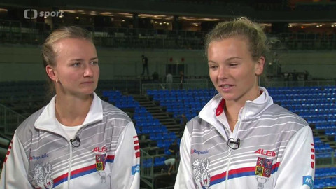 Fed Cup 2018 - Ozvěny Fed Cupu