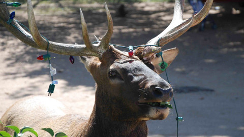 Podivuhodné přírodní úkazy - Epizoda 2/3