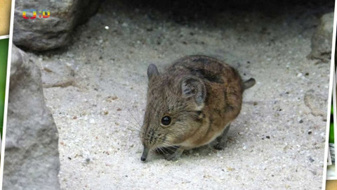 Terčin zvířecí svět - 21. května 2021