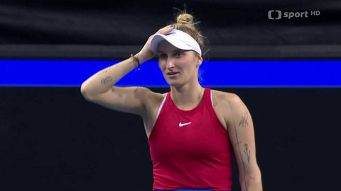 Billie Jean King Cup - Česko - Polsko