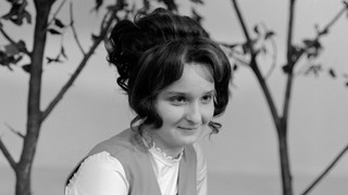 Princezna a husopaska