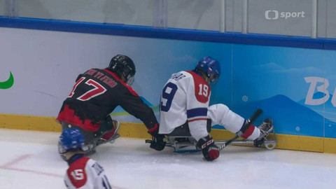 XIII. Zimní paralympijské hry v Pekingu 2022 - Čína - Česko