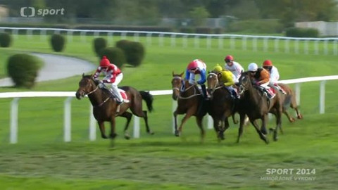 Sport 2014 - Mimořádné výkony 2014