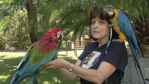 Hobby naší doby - 28. října 2023